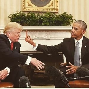 Meet your Posher, William